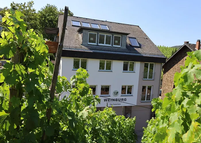 Weinburg -Das Ferienhaus